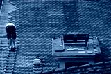 preview cold
