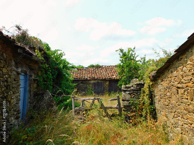 image to crop
