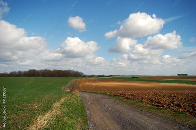image to crop