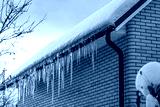 preview cold