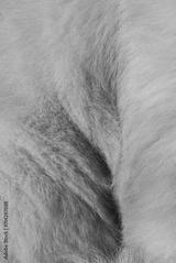 preview bw