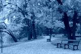 preview cold