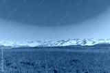 preview cold