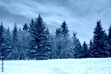 preview cold