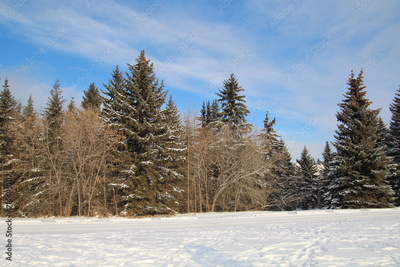 image to crop