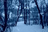preview cold