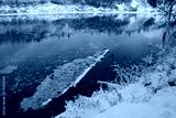 preview cold
