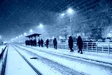 preview cold