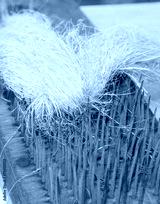 preview cold