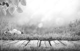 preview bw