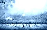 preview cold