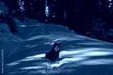preview cold