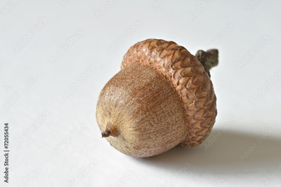 image to crop