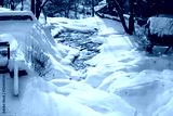 preview cold