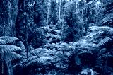preview cold