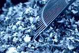 preview cold