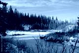 preview cold
