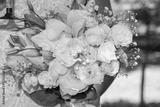 preview bw
