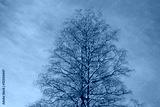 preview cold
