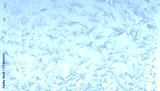 preview cold