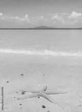 preview bw