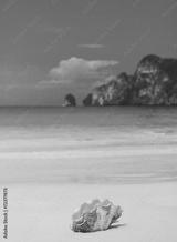 preview bw
