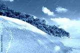 preview cold
