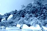 preview cold