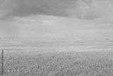preview bw