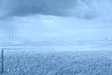 preview cold