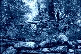 preview cold