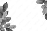 preview bw