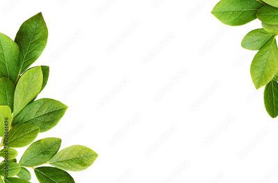 image to crop