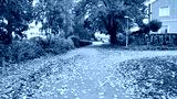 preview cold
