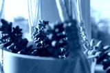 preview cold