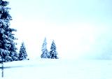 preview cold
