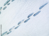 preview original
