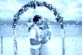 preview cold
