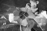 preview bw