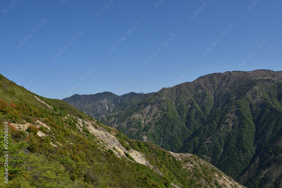 image to crop