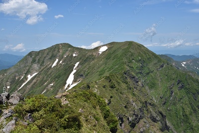 image to crop