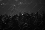preview bw