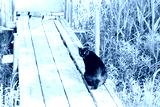 preview cold
