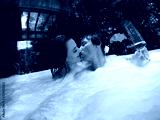 preview cold