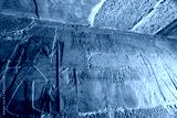 preview cold