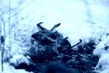 preview cold