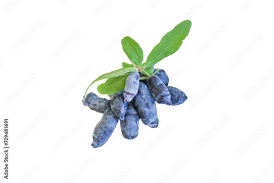 image to crop