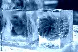 preview cold