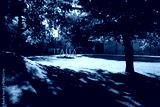 preview cold