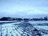 preview cold